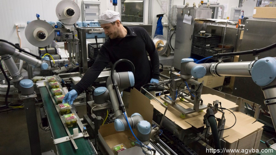 瑞典Atria Skene工厂的员工与Universal Robots的三个机器人手臂并排工作